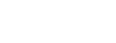 A white version of the National Property Inspections logo with the words "America's Premier Inspection Service" written in cursive.