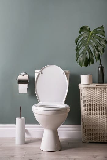 A tidy bathroom with a toilet, decorative plant, and green walls.